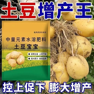 土豆宝宝土豆种植用营养膨大果实生根壮苗水溶叶面肥洋芋宝宝肥料