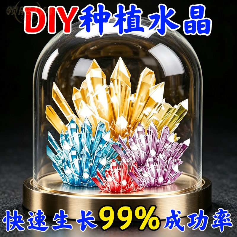 小学生水晶种植早教套装