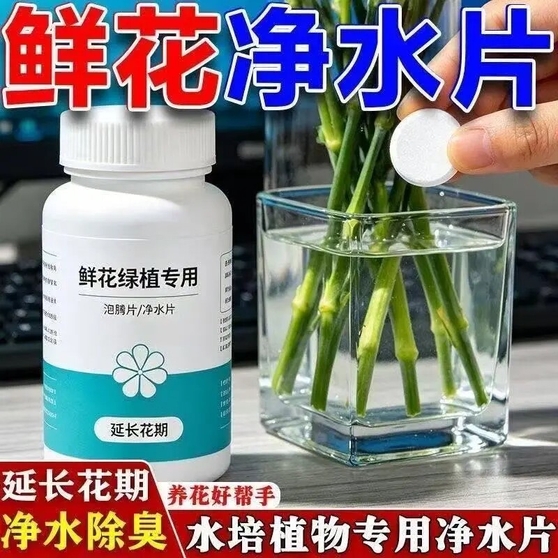 鲜花净水片水培植物水养花卉保鲜剂净化水质花园艺用品延长花期