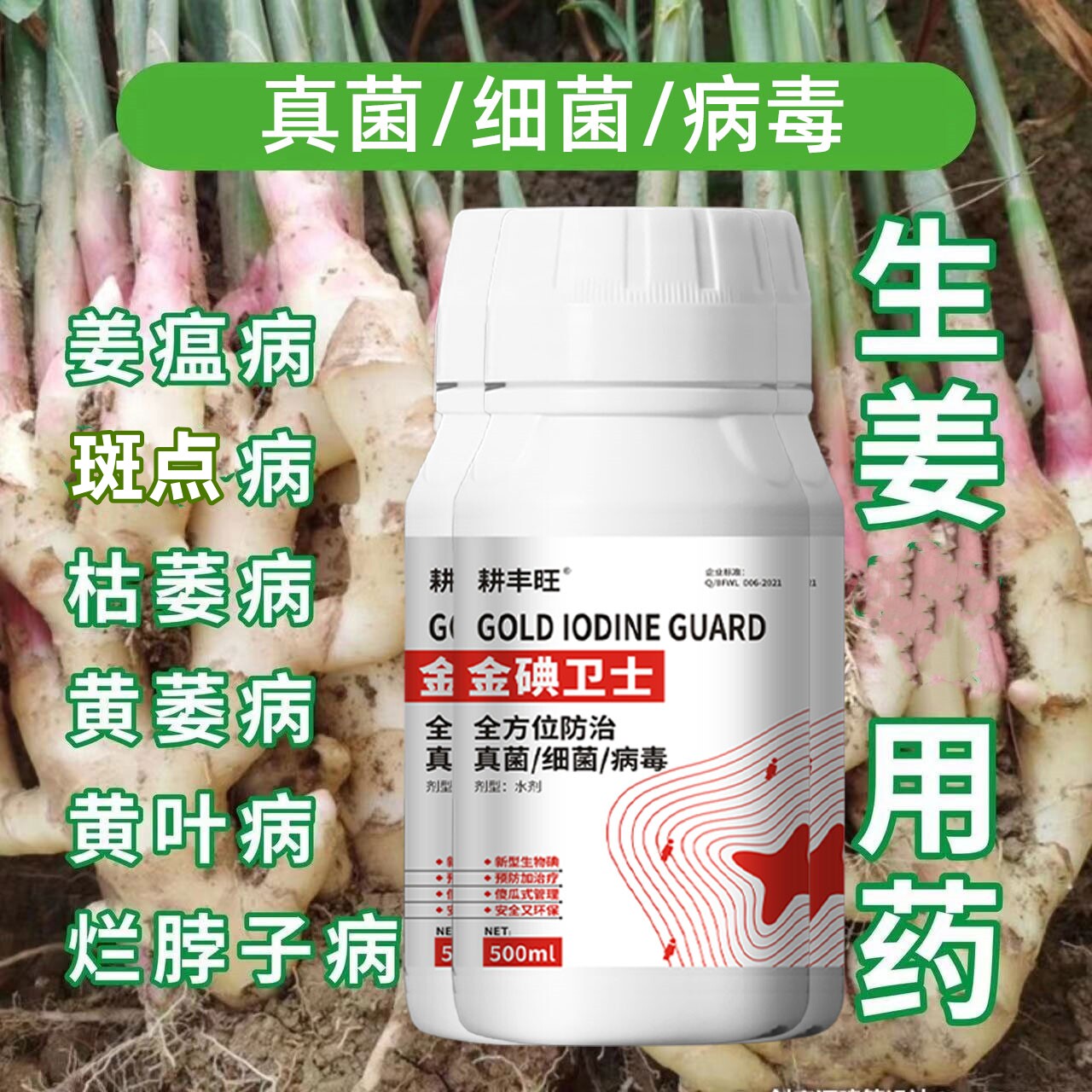 生姜病全治姜瘟病腐烂病炭疽病斑点病基腐病黄萎病软腐烂脖子病
