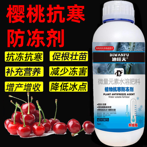 樱桃防冻液樱桃抗冻防寒剂樱桃专用药解冻害抗低温樱桃防冻剂叶肥