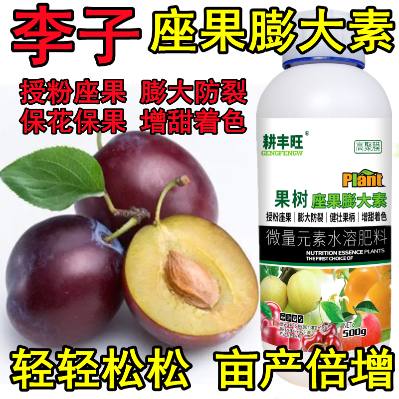 李子膨大坐果药强效授粉膨大防裂防落素李子增甜剂李子授粉座果精