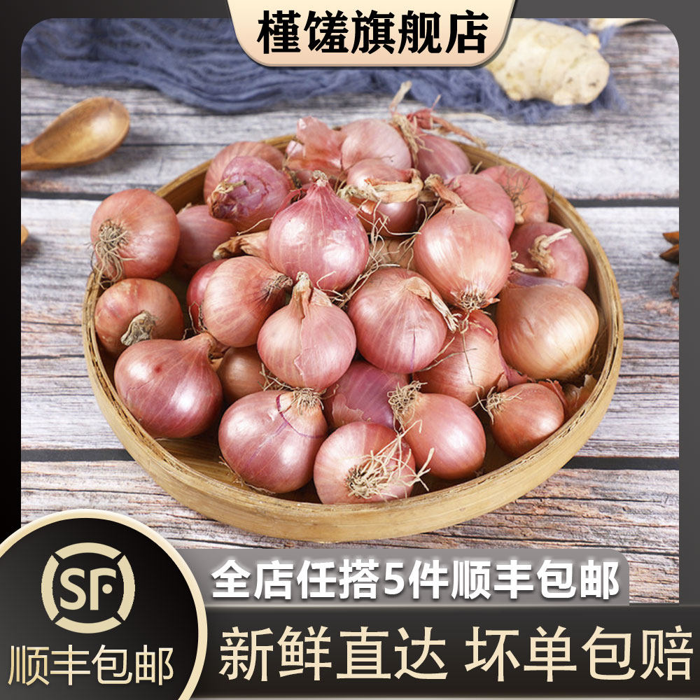 槿馐 迷你小洋葱500g 新鲜生吃东北毛葱朱葱鬼子葱小圆葱 5件包邮