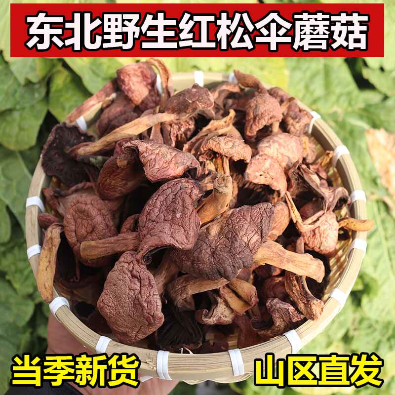 东北特产野生红松伞蘑菇红蘑红松蘑鸡血蘑肉蘑菌菇特干货级炖小鸡
