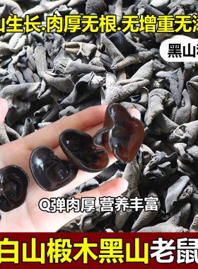 东北椴木小碗耳特级长白山云耳肉厚无根农家散装山秋木耳干货鼠耳