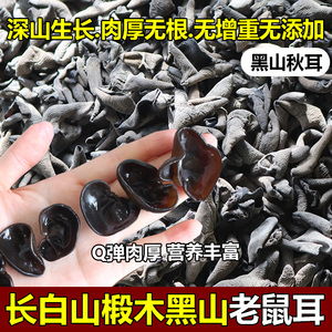 东北椴木小碗耳特级长白山云耳肉厚无根农家散装山秋木耳干货鼠耳