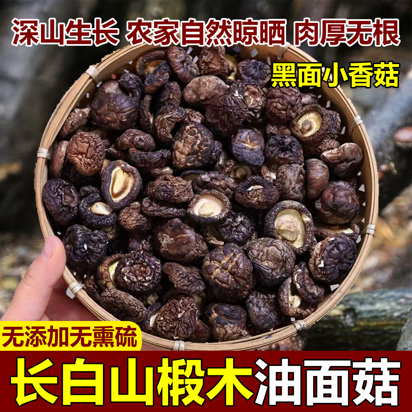 香菇干货东北椴木油面菇天然级无硫无添加黑面香菇野生香菇黑蘑菇