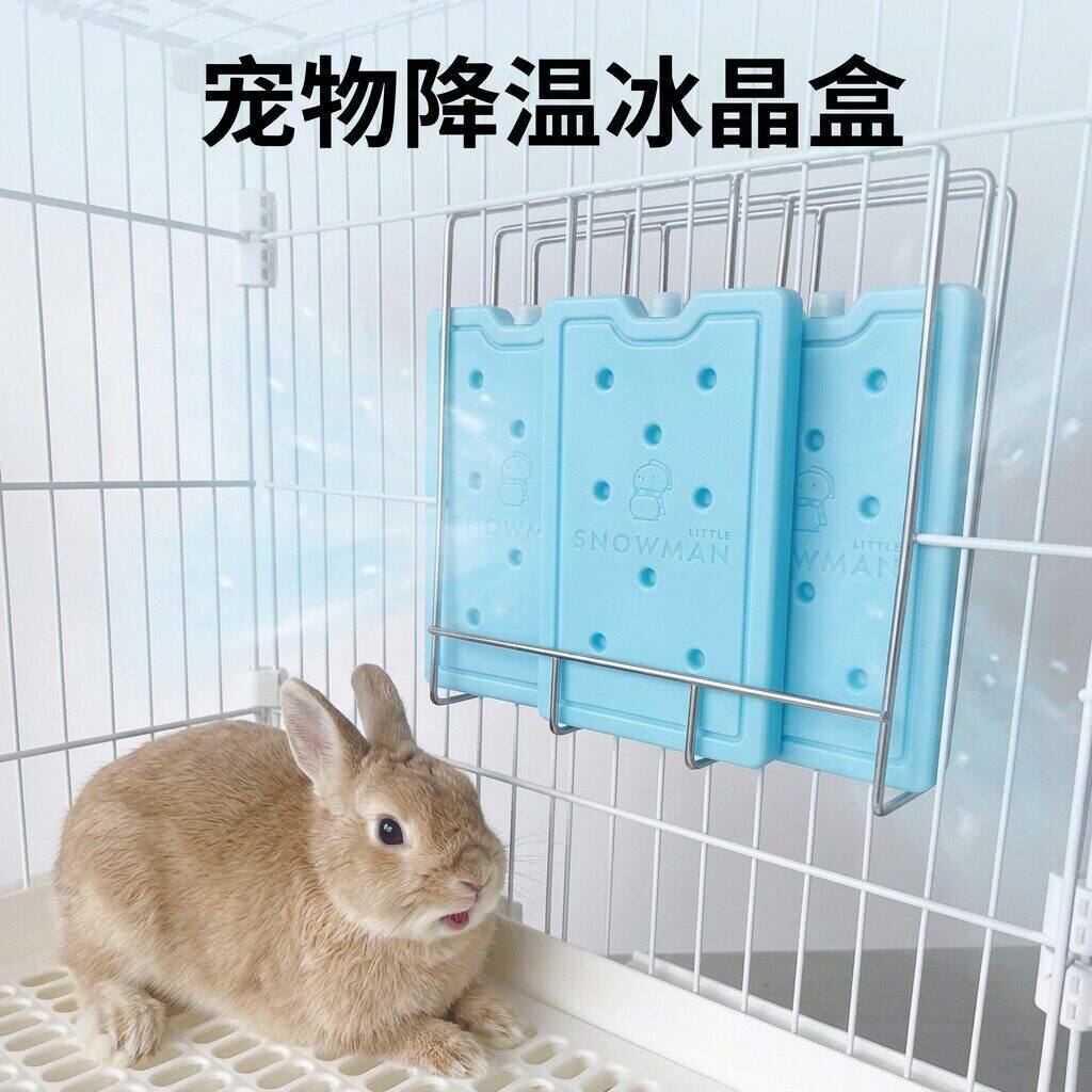兔子降温神器仓鼠冰盒龙猫冰板夏日冰屋冰窝猫咪荷兰猪解暑冰晶盒