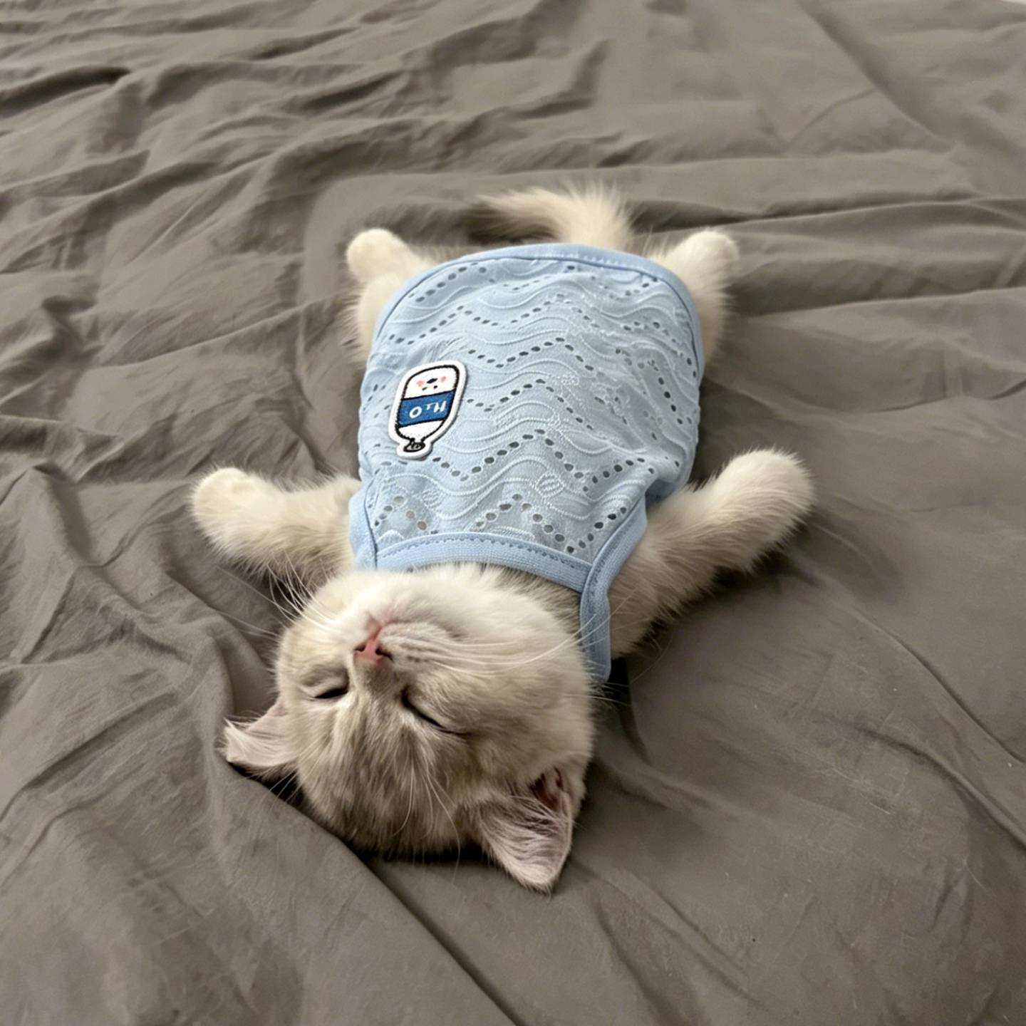 空调房护肚子!猫咪衣服防掉毛薄款夏天凉凉衣宠物德文猫吊带背心