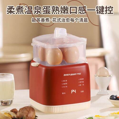 2025新款煮蛋器蒸蛋器多功能自动断电家用小型迷你煮鸡蛋神器宿舍