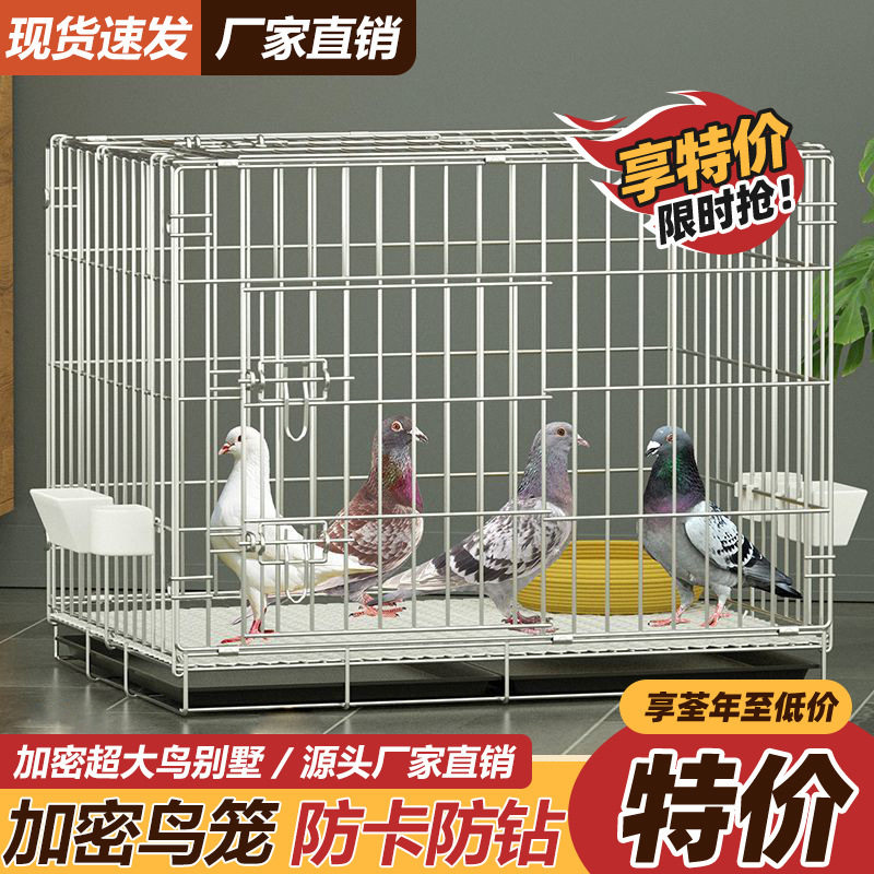 鸽子笼养殖笼繁殖笼肉鸽笼观赏鸽笼大鸽笼鸽子笼大号特大号直销