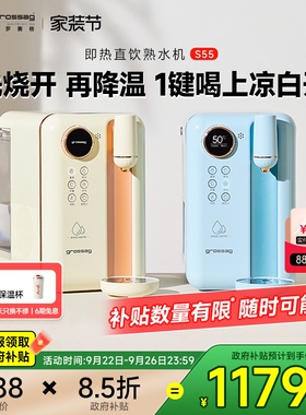 德国直饮熟水机即热式饮水机小型
