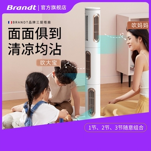 电风扇循环扇立式 Brandt白朗塔扇无叶风扇家用静音地台式 轻音落
