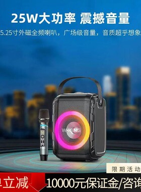 维尔晶T9S户外手提便携式广场舞