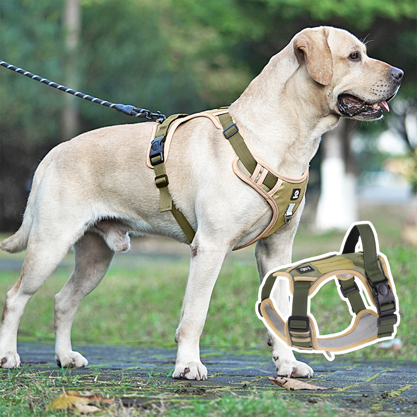 狗狗牵引绳大型犬胸背带拉布拉多