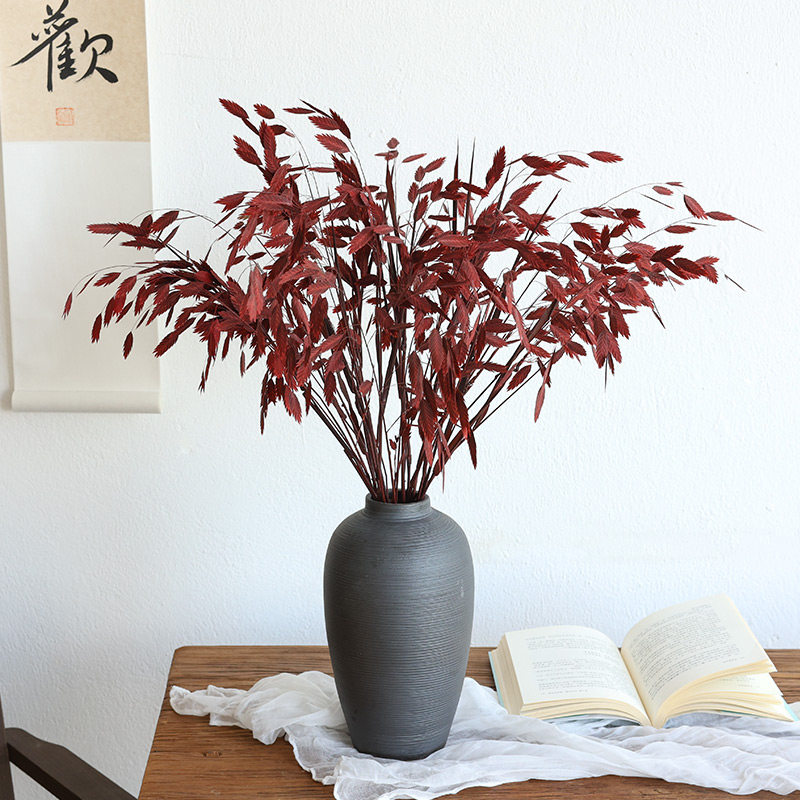 小盼草干花清新风灵动草