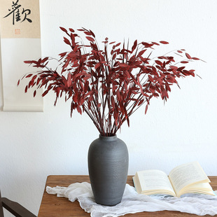 永生花小盼草干花花束客厅摆设干花高级感真花装 饰插花清新风动草