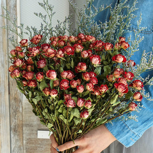 多头玫瑰干花花束装 饰摆件送女友闺蜜蔷薇风干真花摆设摄影道具
