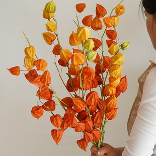 进口浆果灯笼果红果干花花束天然风干客厅高端真花插花新年装 饰花