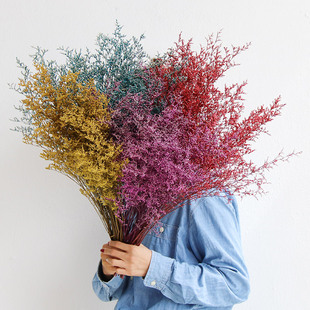 情人草干花花束客厅摆设装 饰摆件云南天然风干真花diy材料满天星