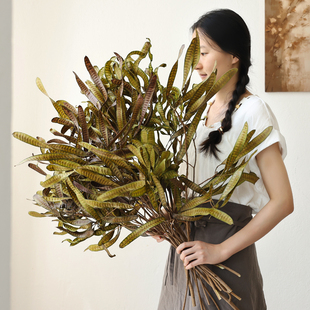豆荚扁豆干花花束天然风干真花干枝民宿酒店软装 饰 复古森系花材装