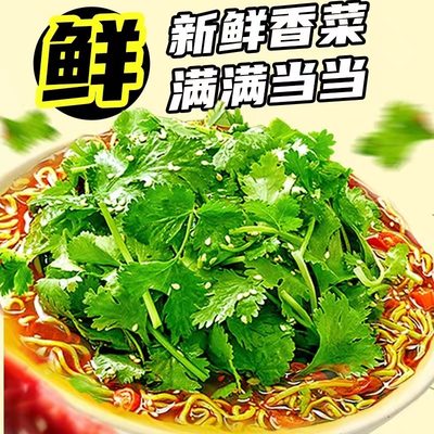 香菜方便面超香绿色蔬菜泡面饼速食美味营养浓郁爆款推荐特价清香