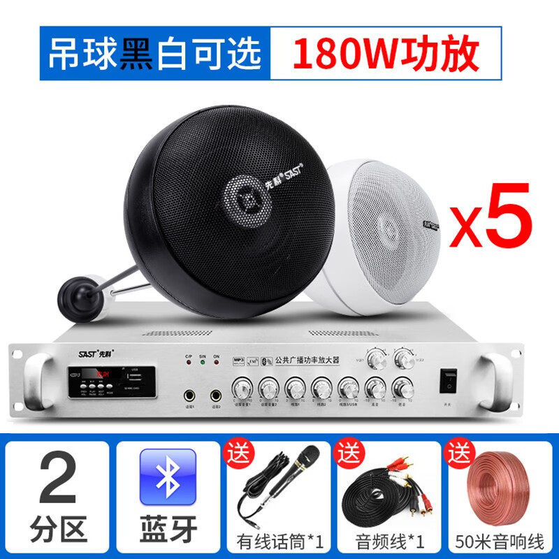 先科（SAST）天花吊球音