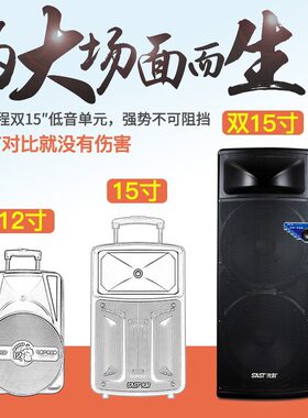 先科1507W双十五寸大功率