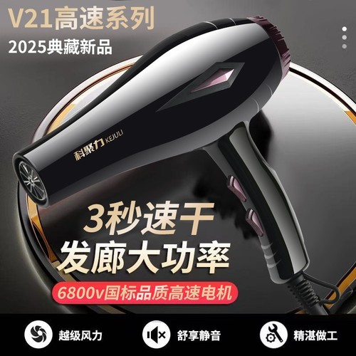 德国电吹风机负离子护发家用大功