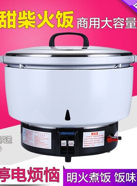 松宜燃气电饭煲商用煤气煮饭锅天