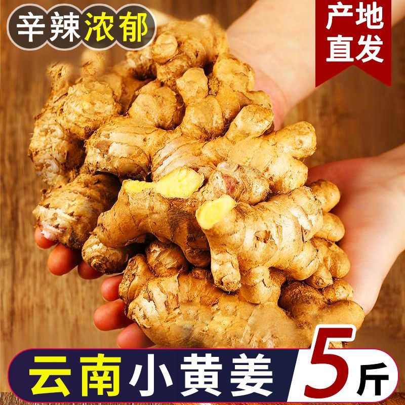 老姜生姜云南小黄姜正宗罗平生姜月子姜辛辣十足农家自种蔬菜批发