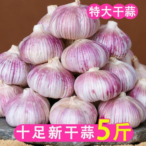 干大蒜5斤农家大蒜头干蒜杞县大蒜5斤紫皮蒜种子3斤1斤蔬菜包邮