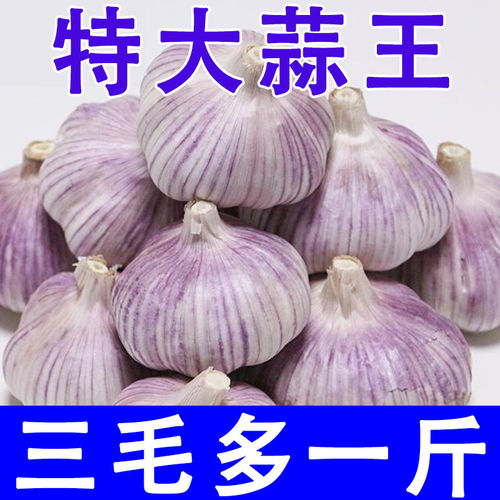 【超底价】金乡新干蒜5斤山东紫皮大蒜头批发红皮大蒜特大号蒜子