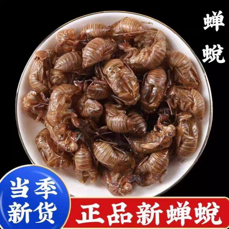 蝉蜕中药材500g克知了皮虫退金蝉