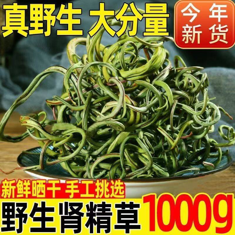 化石草野生肾精草消石草石韦草