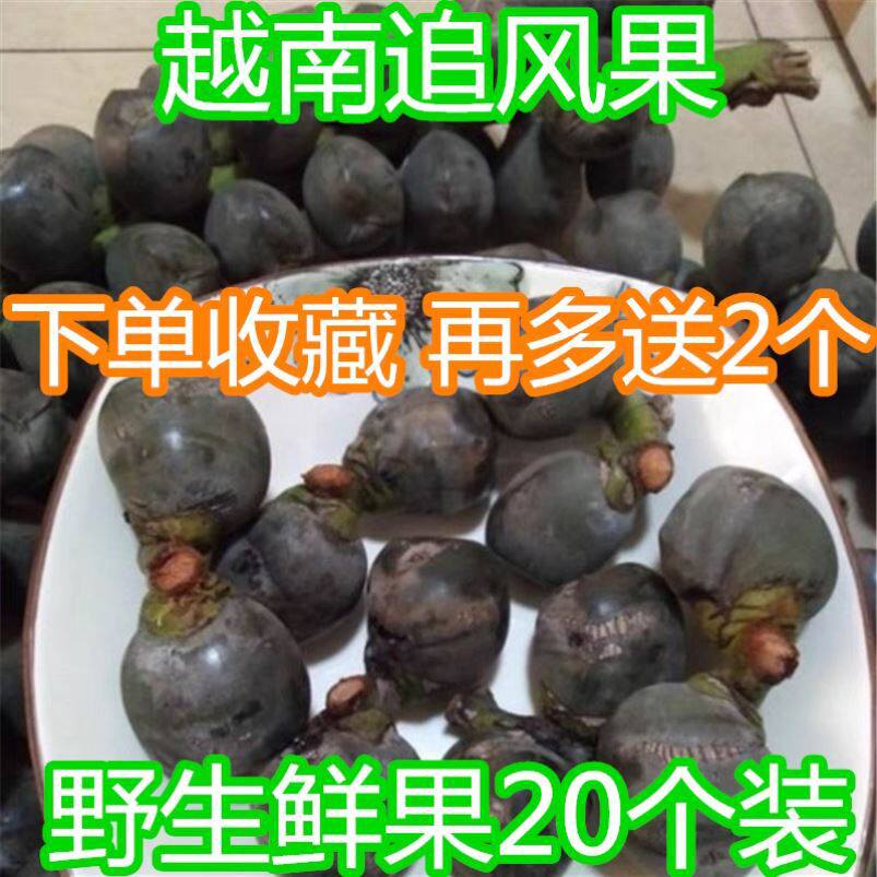 追风果正宗越南泡酒刺虎现摘外用