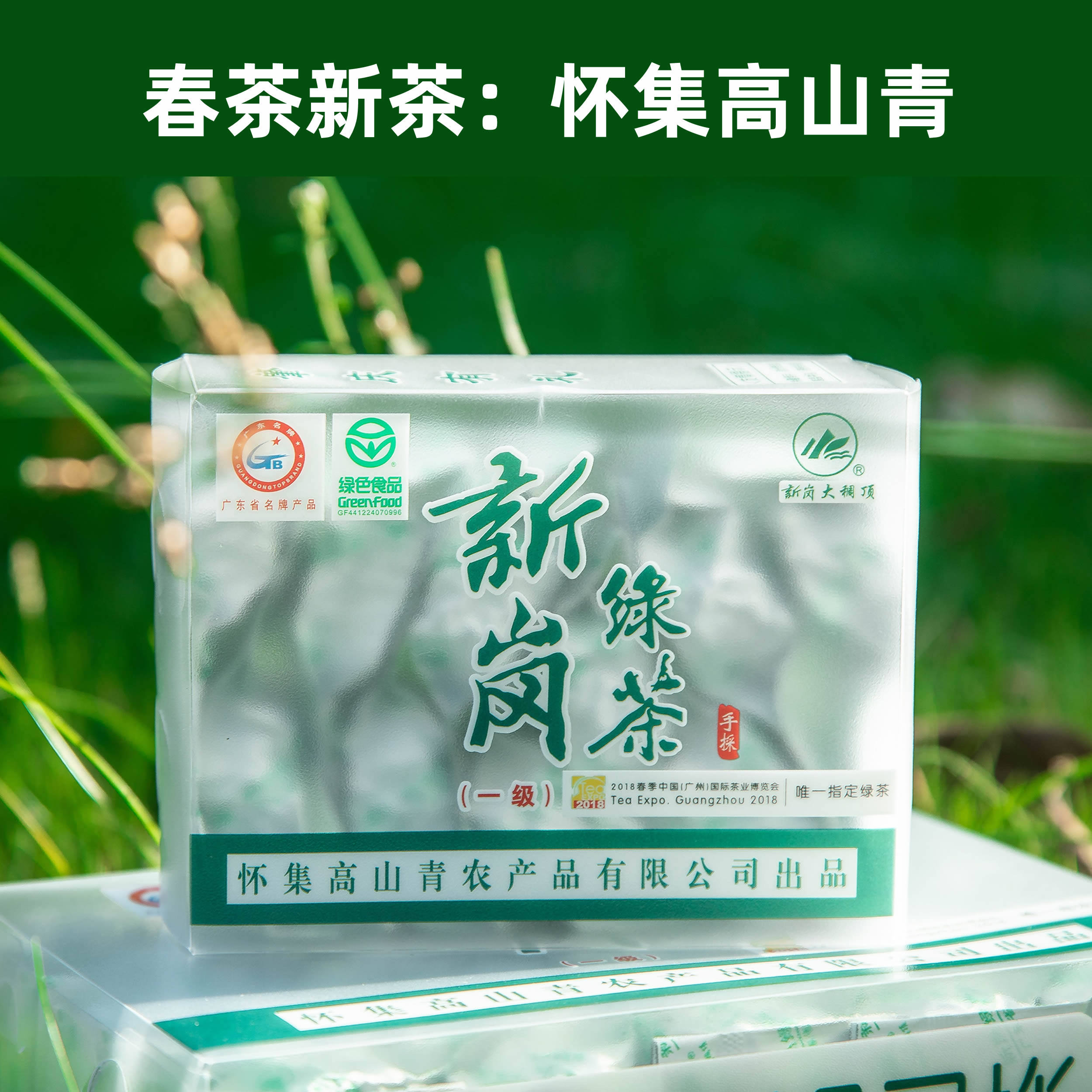 怀集特产洽水新岗绿茶叶高山云雾茶肇庆2022年春茶透明盒装250克