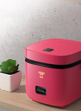 220V 1.2L Cute Mini Rice Cooker Small 1-2 Person Rice Cooker
