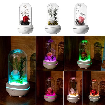 Creative Preserved Flower Fragrance Lamp Aroma Diffuser Port