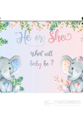 NeoBack Gender Reveal Photo Backdrop Newborn Baby Shower Ba