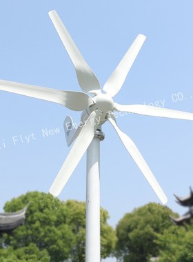 New Developed Wind Turbine 800w 12v 24v Generator With 6 Bla