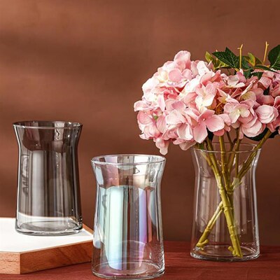 Nordic Glass Vases Flower Pot Basket Bottles Hydroponic Vase