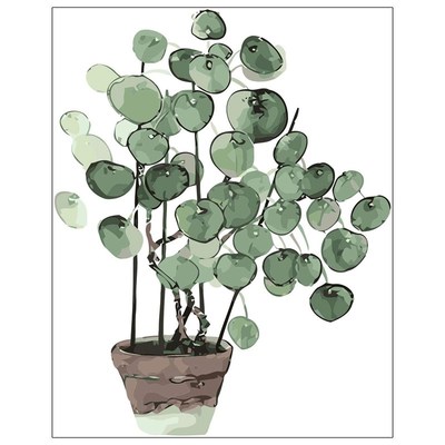 DIY Paint By Numbers Kits,Painting Kit For Adult Beginner,Ki