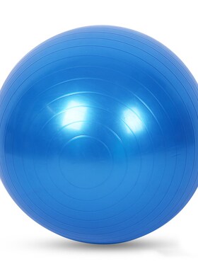 Yoga  GYM Balanced ball Fitness Massage Sport  Workout Relie