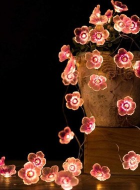 2m Cherry Lighting Strings LED Blossom Flower String Fairy L