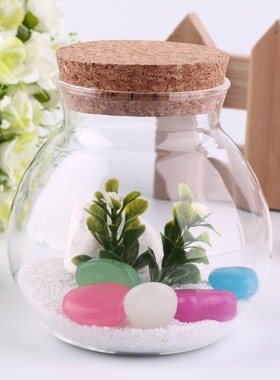 newNew Arrival Cute Design Tea Coffee Sugar Glass Canisters