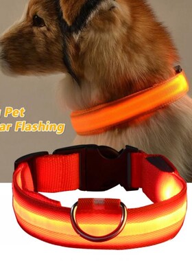 USB Charging Led Dog Collar Anti Lost Avoid Car Accident Col