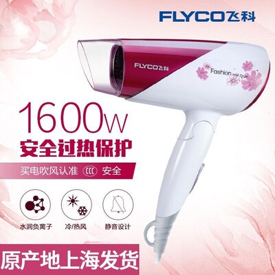 Negative ion 1600W Hotel, hotel, hair dryer吹风机