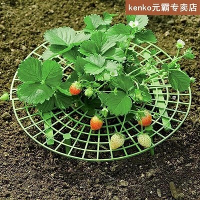Balcony Vegetable Strawberry Rack Fruit Supports Plant Suppo