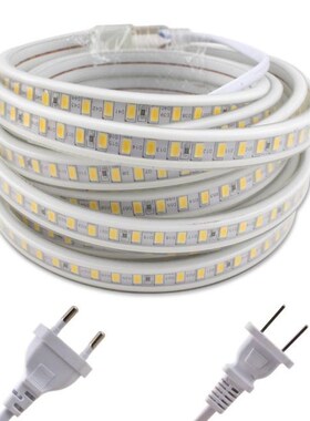 220V LED Strip Lights,Waterproof IP67 5730 120LEDS/M 1M-20M